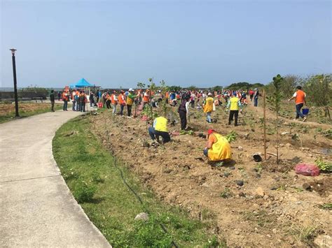 哪裡可以種樹|找對地、種對樹——媒合公私部門，臺灣好植地為樹，。